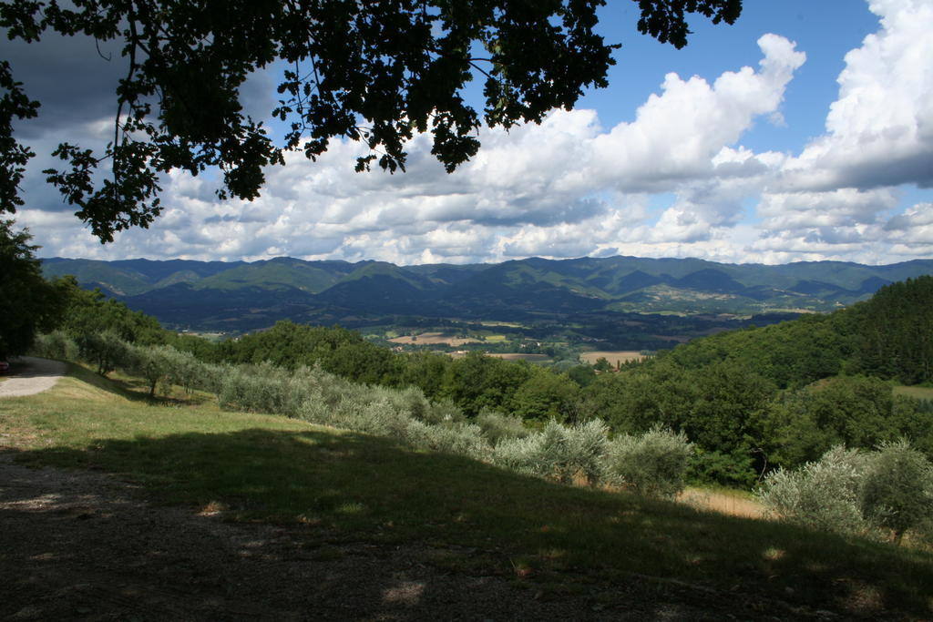 Podere Capitignano Borgo San Lorenzo Bagian luar foto