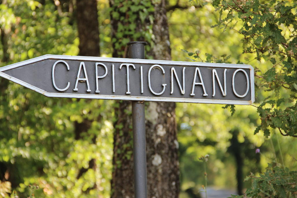 Podere Capitignano Borgo San Lorenzo Bagian luar foto